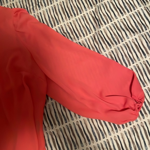 Coral Sheer Blouse - Picture 4 of 4